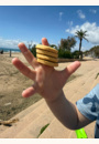 avis Les Biscuits tout ronds Vanille Bio par Melanie
