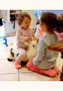 avis Animal sauteur vache par Lory