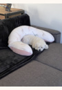 avis Coussin d'allaitement Doomoo par Emilie