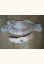 avis Ceinture Lombamum par Evelyne