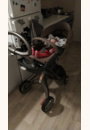 avis Poussette XPLORY par Lorraine