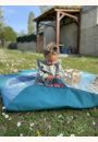 avis Tapis d'extérieur XL par Anaïs
