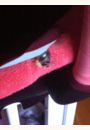 avis Nacelle Buzz par Anne sophie
