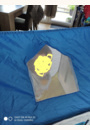 avis Cabane pop-up avec tunnel par Anne-Sophie