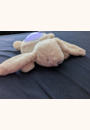 avis Veilleuse projecteur Lapidou Lapin par Ludivine