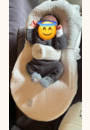 avis Cocoonababy par Lisa