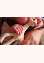 avis Sophie la Girafe par isabelle