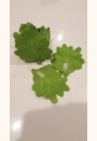 avis Légumes Duktig par Stéphane