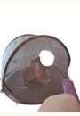 avis Tente Anti-UV Breezy Clay Earth par Stany