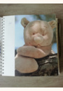 avis Album de naissance Paco & Lola par Julie
