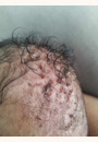 avis Shampooing croûtes de lait par Wardat