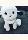 avis Milo le Mouton berceur par marianne