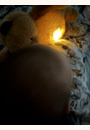 avis Peluche musicale Cookie™ l'Ours qui respire par Cynthia