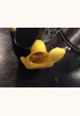 avis Canards de bain par Severine