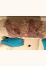 avis Tidou Nina par laetitia