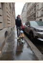 avis Trottinette évolutive go up active par Blandine