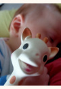 avis Sophie la Girafe par Cindy