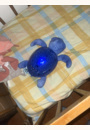 avis Veilleuse Tranquil Turtle™ Rechargeable par Adeline