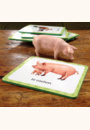avis Cartes-imagier Mes toutes premières découvertes : Les animaux de la ferme par Melanie