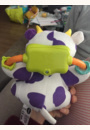 avis Vache Joséphine câline par Clementine 