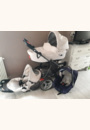 avis Duo Poussette High Trek et Nacelle Windoo Plus par thierry