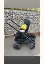 avis Poussette versiti™ avec panier Eclipse par Laurie
