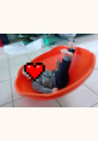 avis Petite Toupie par Anne claire