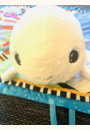 avis Peluche veilleuse & bruits blancs Béluga par Sandra