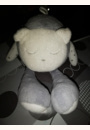 avis Mascotte qui dort avec capteur de sommeil par Eva