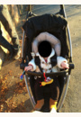 avis Poussette Zapp Xtra 2 par charline