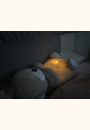 avis Veilleuse Ma Loutre Câlins Bonne Nuit par Melissa