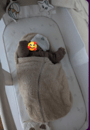avis Cocon bébé Le Confetti par Alice