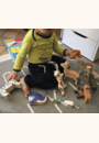 avis Animal en bois par Mélissa