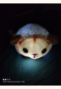 avis Hochet peluche lumineux Shakies par Aude