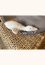 avis Peluche bruit blanc l'oie Liva par Julie