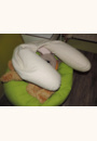 avis Coussin de maternité en bambou par Aline