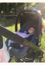 avis Poussette Moodd par Marie