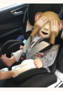 avis Siège auto Seat Up par Bérengère