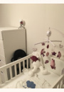 avis Caméra pour Bébé EyeOn Baby  par Aurélie
