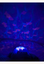 avis Veilleuse projecteur Tortue Aqua Dream par Stephane