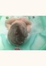 avis Gel douche-shampooing moussant par Aurelie
