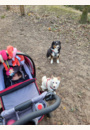 avis Trio Activ 3 par Coralie