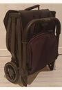 avis Poussette compacte MINU V3 par Audrey