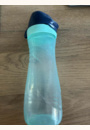 avis Gourde pour enfants par Amandine