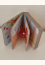 avis Petit Ecureuil par ALEXANDRA