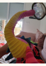 avis Dee Dee le Dragon par Magali