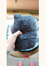 avis Porte bébé Boppy Comfyfit par Charline