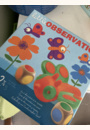 avis Little observation par Laura