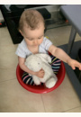 avis Peluche Lapin Bashful par Emilie