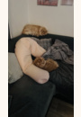 avis Coussin d'allaitement Big Flopsy par Julie